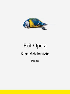 cover image of Exit Opera